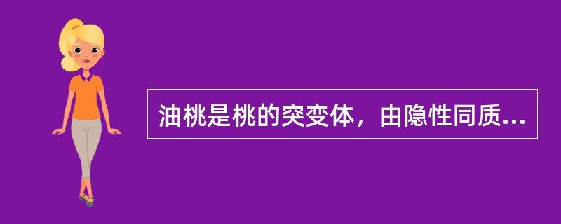 油桃是桃的突变体，由隐性同质基因（gg）所控制。