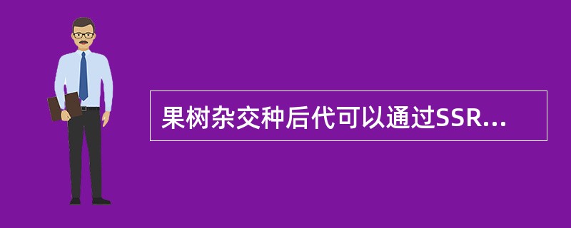 果树杂交种后代可以通过SSR分子标记进行鉴定。