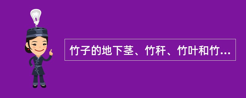 竹子的地下茎、竹秆、竹叶和竹箨有何特点？