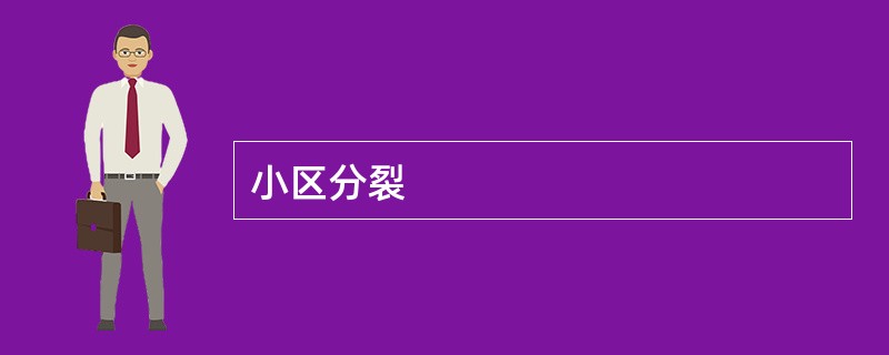 小区分裂