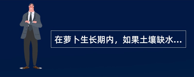 在萝卜生长期内，如果土壤缺水会导致（）。