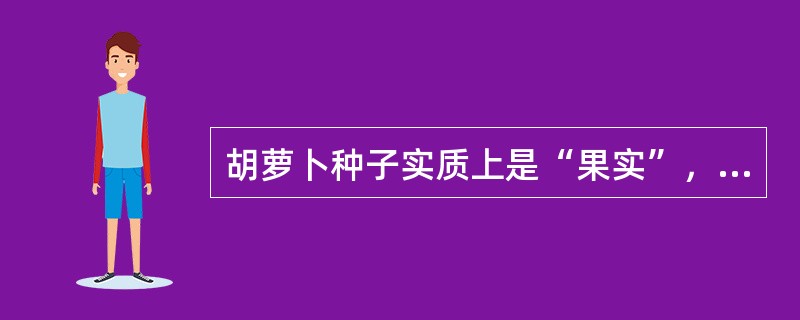 胡萝卜种子实质上是“果实”，种子发芽率（）。