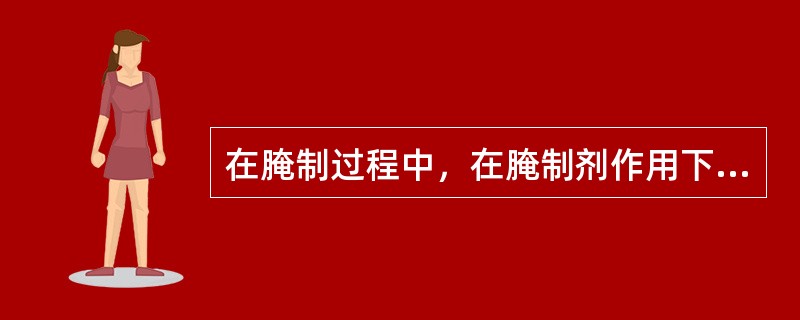 在腌制过程中，在腌制剂作用下，首先要形成溶液，然后通过扩散和渗透作用进入食品组织