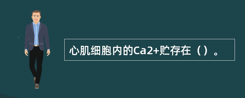 心肌细胞内的Ca2+贮存在（）。