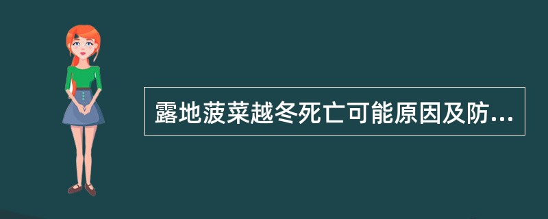 露地菠菜越冬死亡可能原因及防止措施。