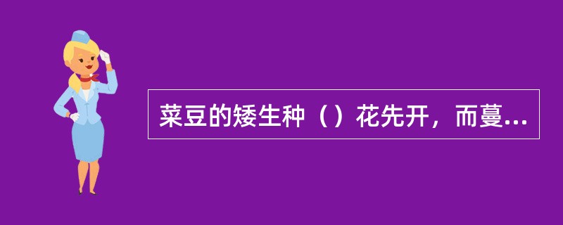 菜豆的矮生种（）花先开，而蔓生种（）花先开。