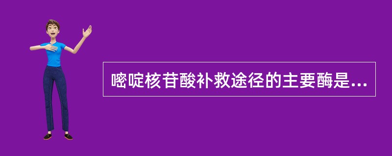 嘧啶核苷酸补救途径的主要酶是（）