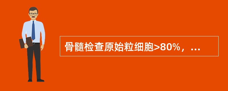 骨髓检查原始粒细胞>80%，早幼粒细胞12%，单核细胞<20%的诊断是（）