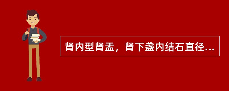 肾内型肾盂，肾下盏内结石直径2.5cm，伴肾下盏积水且明显扩张者，以下可供选择的