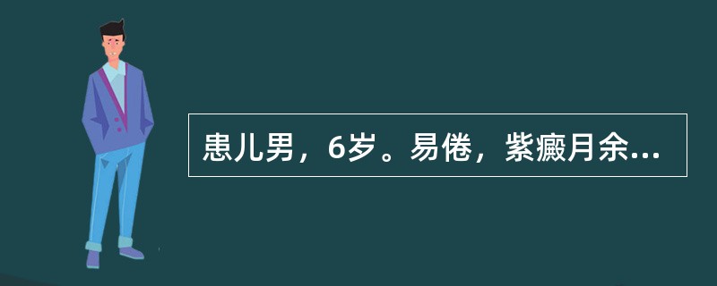 患儿男，6岁。易倦，紫癜月余，脾肋下2cm，血红蛋白80g/L，白细胞32×10