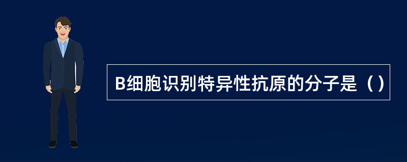 B细胞识别特异性抗原的分子是（）