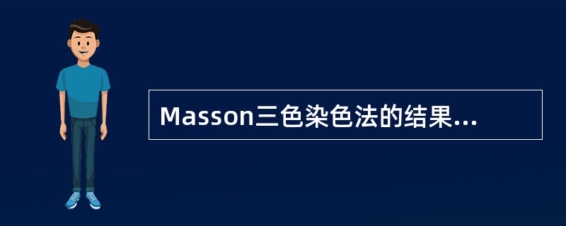 Masson三色染色法的结果正确的是（）