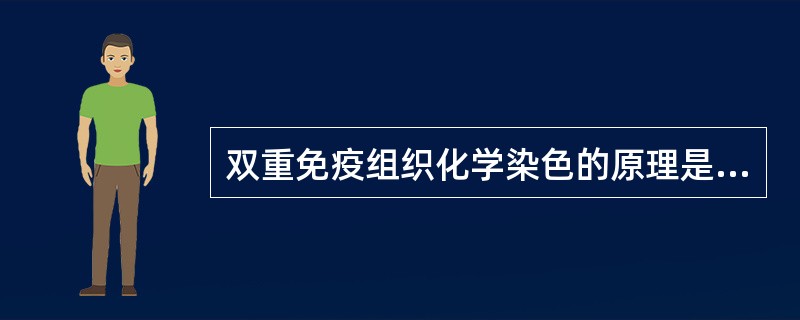 双重免疫组织化学染色的原理是（）