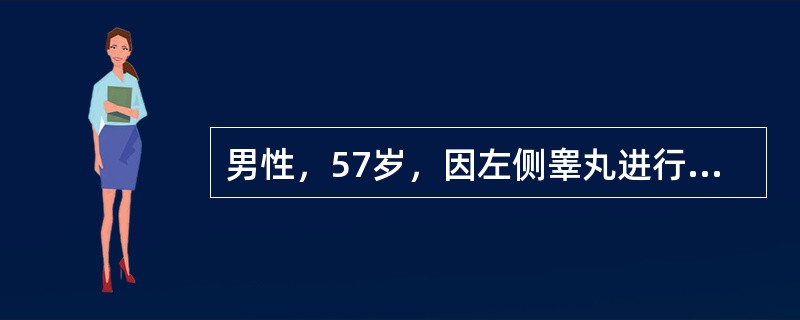 男性，57岁，因左侧睾丸进行性肿大行睾丸切除。大体见肿瘤切面呈鱼肉状，境界清楚，