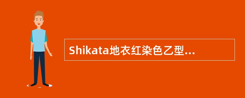 Shikata地衣红染色乙型肝炎表面抗原阳性物质的颜色是（）