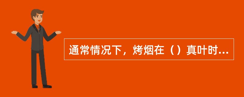 通常情况下，烤烟在（）真叶时移栽。