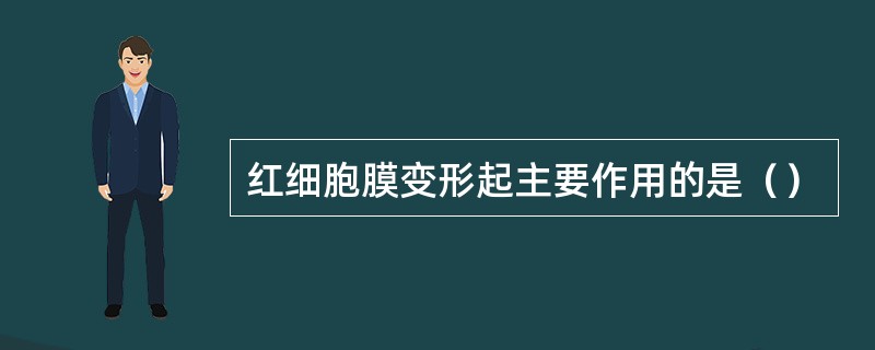 红细胞膜变形起主要作用的是（）