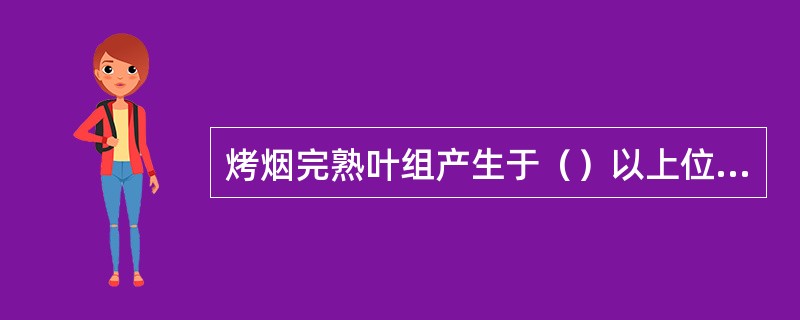 烤烟完熟叶组产生于（）以上位置，烟叶达到高度或充分成熟。