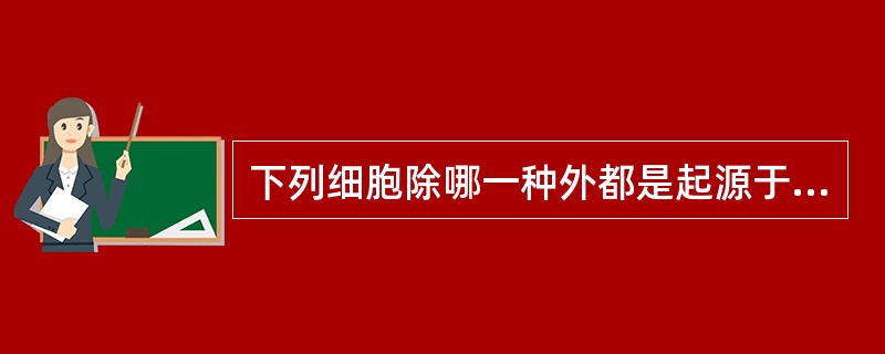 下列细胞除哪一种外都是起源于神经外胚层（）