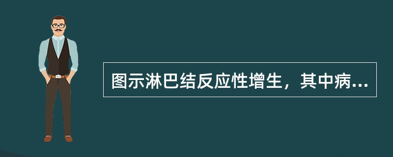 图示淋巴结反应性增生，其中病变包括哪些（）