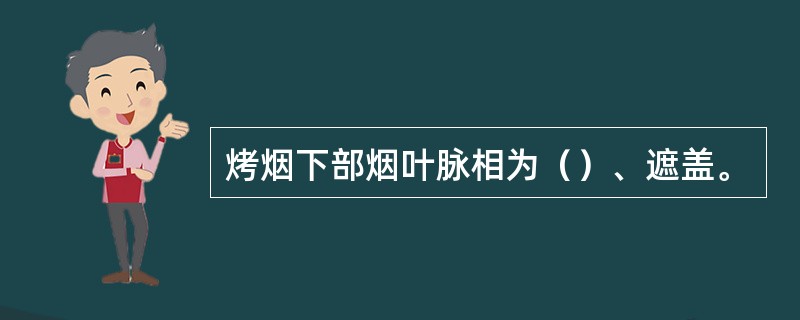 烤烟下部烟叶脉相为（）、遮盖。