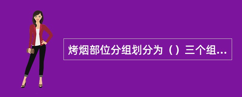 烤烟部位分组划分为（）三个组别。