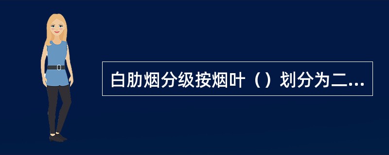 白肋烟分级按烟叶（）划分为二个组。
