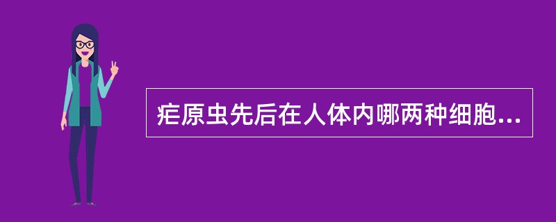 疟原虫先后在人体内哪两种细胞内发育生长（）