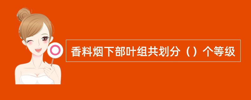 香料烟下部叶组共划分（）个等级