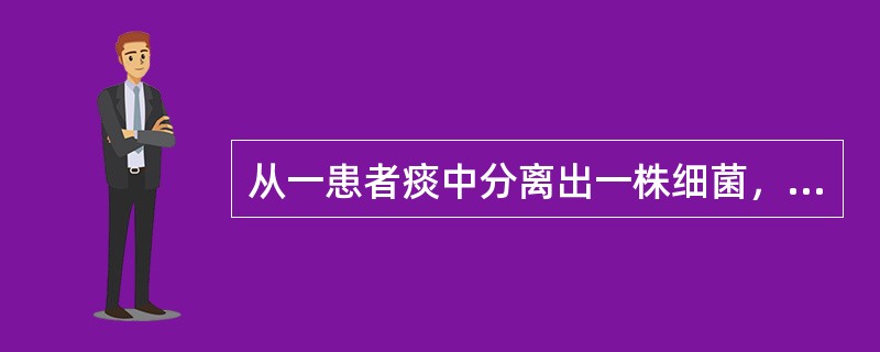 从一患者痰中分离出一株细菌，血平板上灰白色黏液型大菌落，用接种针可拉出丝；革兰染