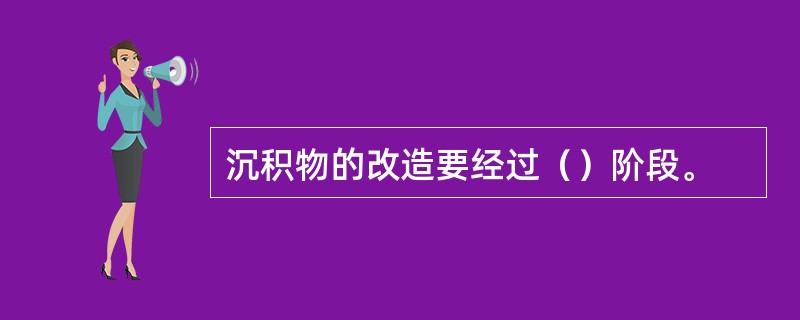 沉积物的改造要经过（）阶段。