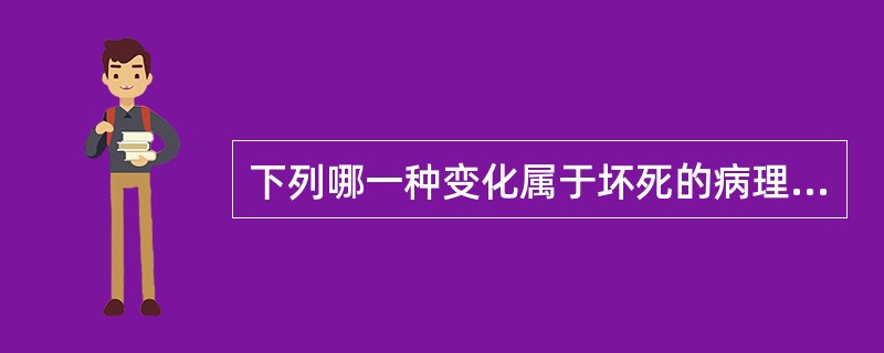 下列哪一种变化属于坏死的病理改变（）