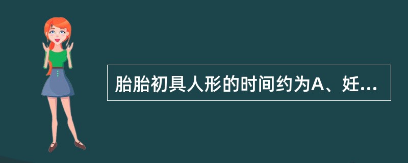 胎胎初具人形的时间约为A、妊娠4周末B、妊娠6周末C、妊娠8周末D、妊娠10周末