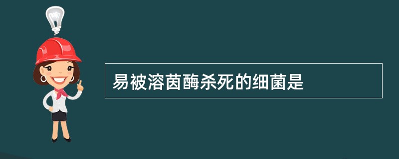 易被溶茵酶杀死的细菌是