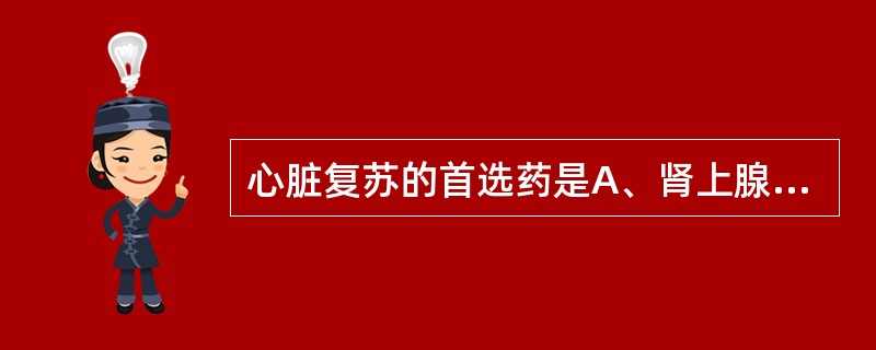 心脏复苏的首选药是A、肾上腺素B、阿托品C、利多卡因D、碳酸氢钠E、地西泮 -