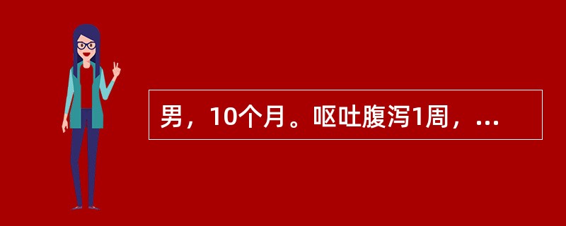 男，10个月。呕吐腹泻1周，嗜睡，口渴，尿量减少。皮肤弹性差，前囟及眼眶明显凹陷