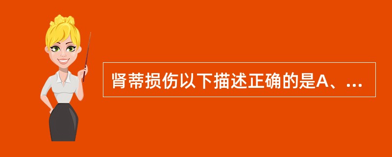 肾蒂损伤以下描述正确的是A、可出现大量肉眼血尿B、可引起严重尿外渗C、可造成广泛