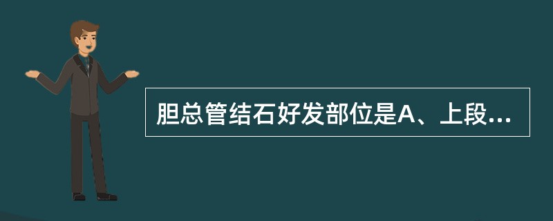 胆总管结石好发部位是A、上段B、中上段C、中段D、中下段E、下段