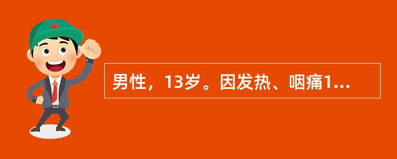 男性，13岁。因发热、咽痛1天就诊，T39.8℃，颜面无水肿，扁桃体Ⅲ度，尿蛋白