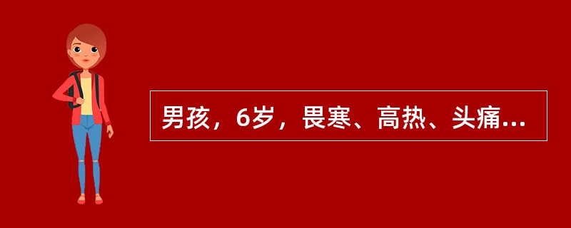 男孩，6岁，畏寒、高热、头痛、呕吐8小时以“流行性脑脊髓膜炎”收入院，查体可见病