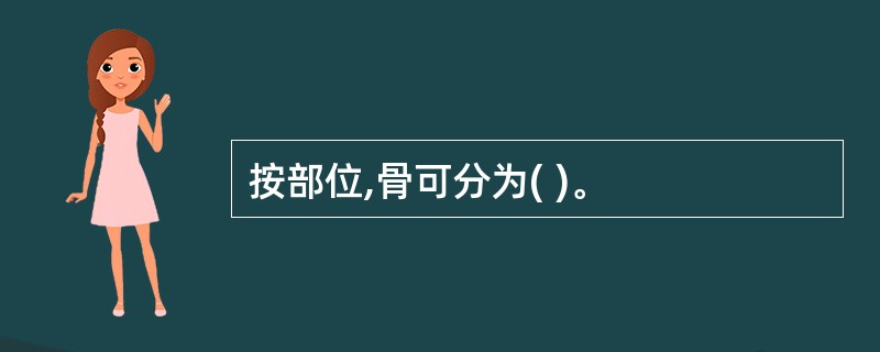 按部位,骨可分为( )。