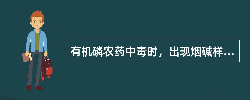 有机磷农药中毒时，出现烟碱样症状表现是A、头晕B、多汗C、腹痛D、瞳孔缩小E、肌