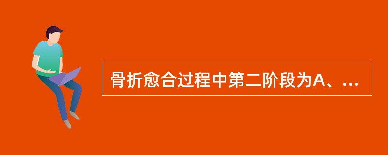 骨折愈合过程中第二阶段为A、骨痂改造塑形期B、血肿机化演进期C、原始骨痂形成期D