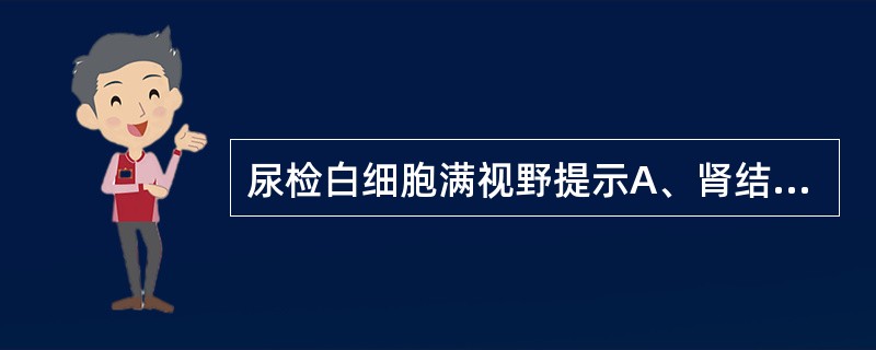 尿检白细胞满视野提示A、肾结核B、肾结石C、肾盂肾炎D、肾囊肿E、肾肿瘤