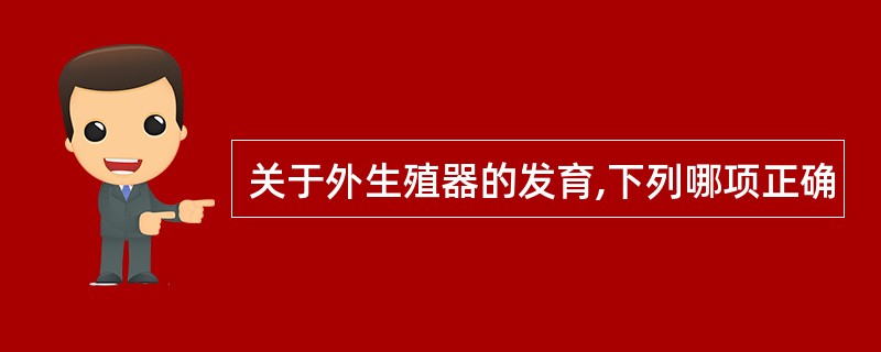 关于外生殖器的发育,下列哪项正确