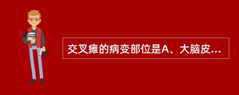 交叉瘫的病变部位是A、大脑皮层B、脊髓腰段C、内囊D、脑干E、脊髓前角