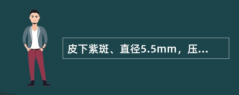 皮下紫斑、直径5.5mm，压之不褪色的皮疹是A、玫瑰疹B、荨麻疹C、紫癜D、瘀斑