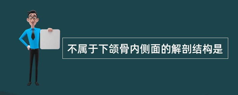 不属于下颌骨内侧面的解剖结构是