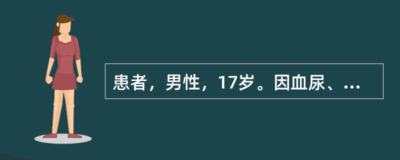 患者，男性，17岁。因血尿、蛋白尿入院，诊断为急性肾小球肾炎。现医嘱行阿迪计数检