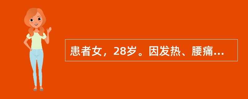 患者女，28岁。因发热、腰痛、尿频、尿急、尿痛就医，入院后诊断为急性肾盂肾炎。对